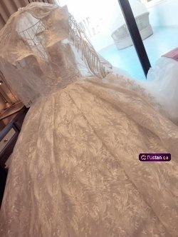 فستان زفاف استخدام مره واحدة لمدة اربع ساعات 