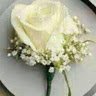 Om mohamed