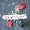 Jenan AL Rawi