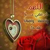 Shada Hany
